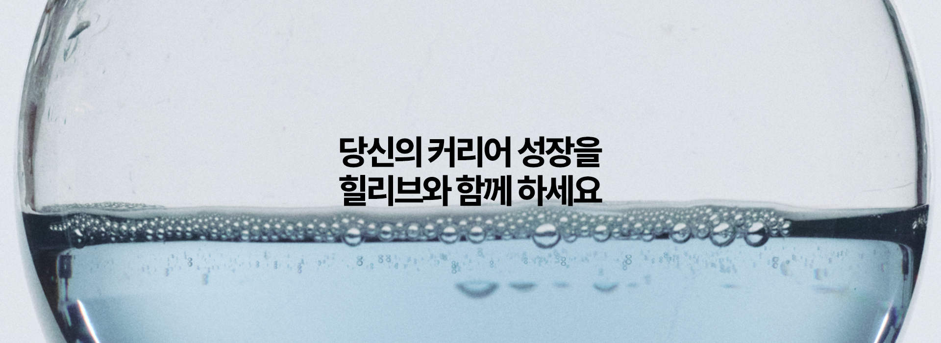 채용 안내